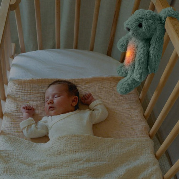 Zazu - Soft toy - Heartbeat - Bibi the Rabbit (copy)