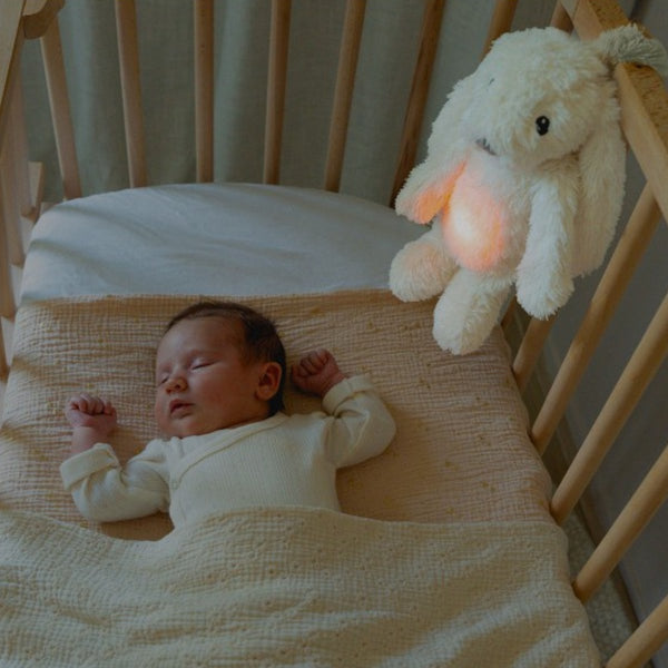 Zazu - Soft toy - Heartbeat - Bibi the Rabbit (copy)