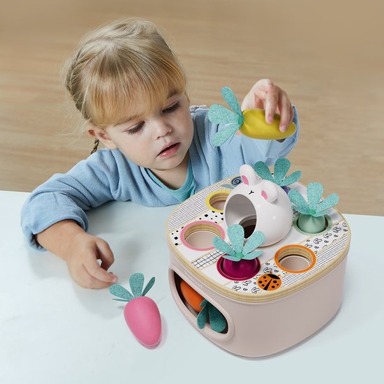 Topbright - Vormenstoof - Match en Sort - Worteltjes